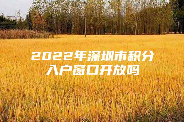 2022年深圳市积分入户窗口开放吗