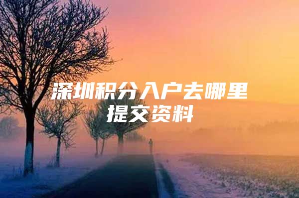 深圳积分入户去哪里提交资料
