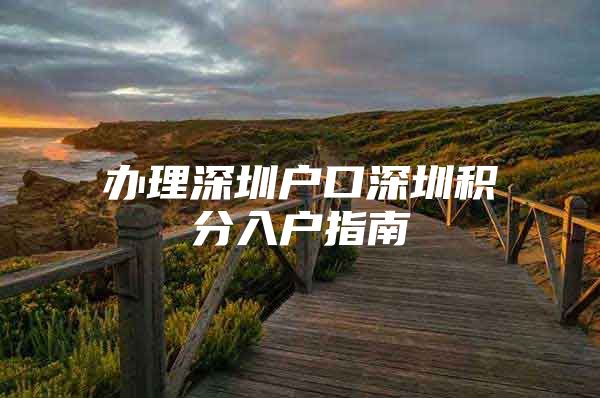 办理深圳户口深圳积分入户指南