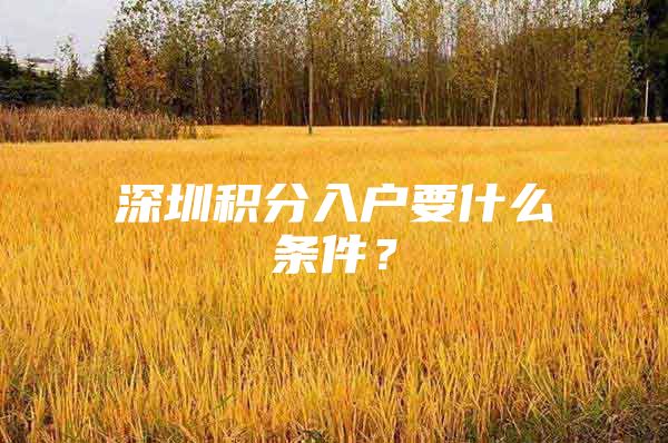 深圳积分入户要什么条件？