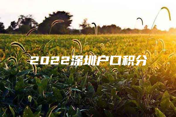 2022深圳户口积分