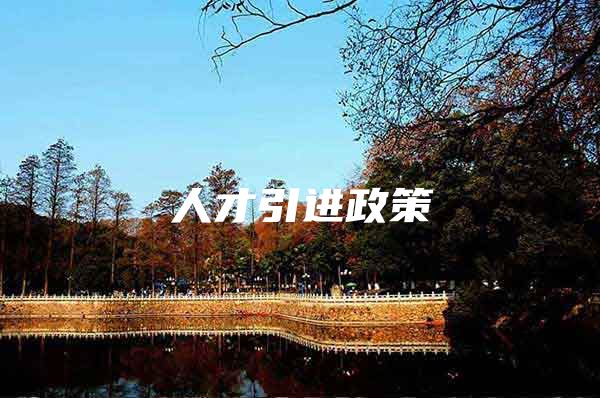 人才引进政策