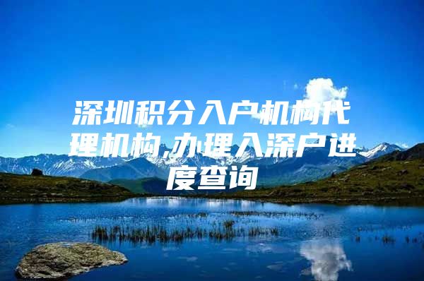 深圳积分入户机构代理机构,办理入深户进度查询