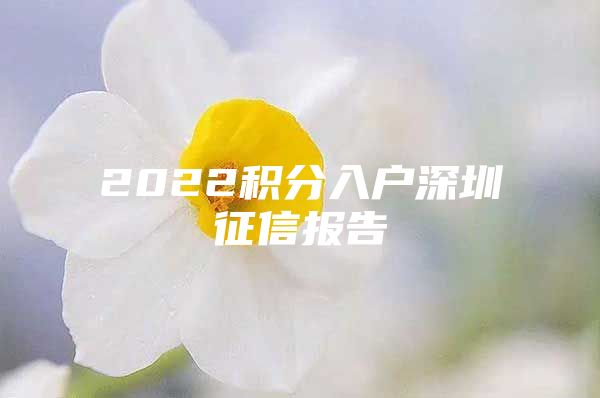 2022积分入户深圳征信报告