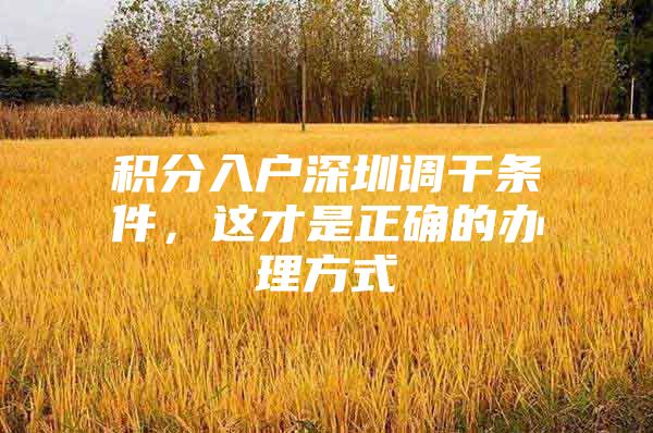 积分入户深圳调干条件，这才是正确的办理方式
