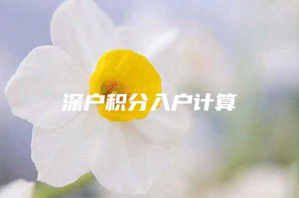 深户积分入户计算