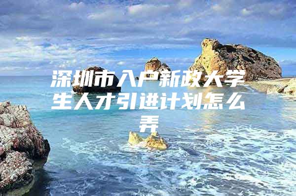 深圳市入户新政大学生人才引进计划怎么弄