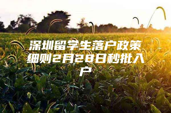 深圳留学生落户政策细则2月28日秒批入户