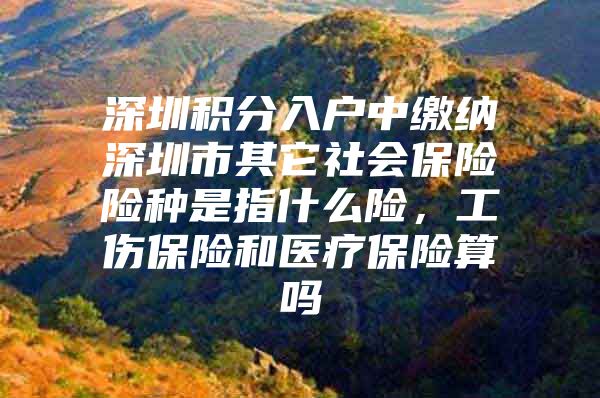深圳积分入户中缴纳深圳市其它社会保险险种是指什么险，工伤保险和医疗保险算吗