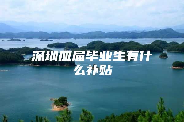 深圳应届毕业生有什么补贴