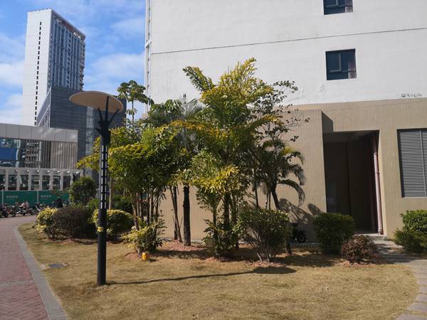 新手必读：2022深圳留学人员落户条件全解析！