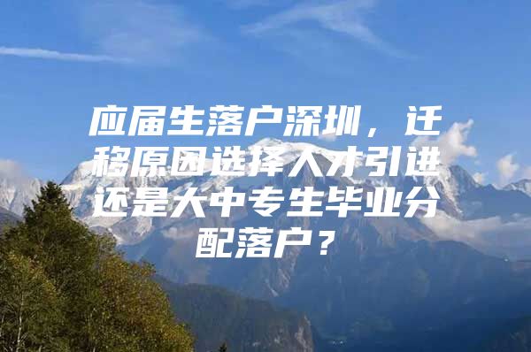 应届生落户深圳，迁移原因选择人才引进还是大中专生毕业分配落户？
