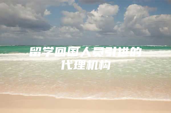 留学回国人员引进的代理机构