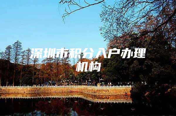 深圳市积分入户办理机构