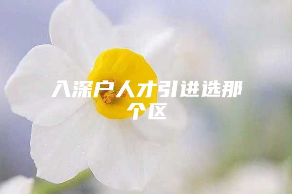 入深户人才引进选那个区
