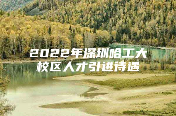 2022年深圳哈工大校区人才引进待遇