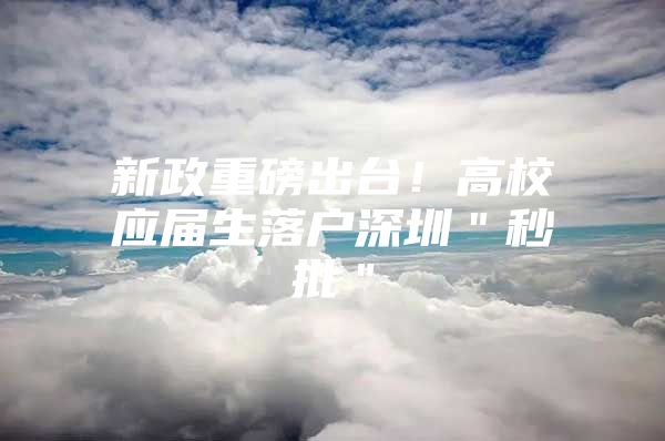 新政重磅出台！高校应届生落户深圳＂秒批＂