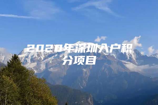 2020年深圳入户积分项目