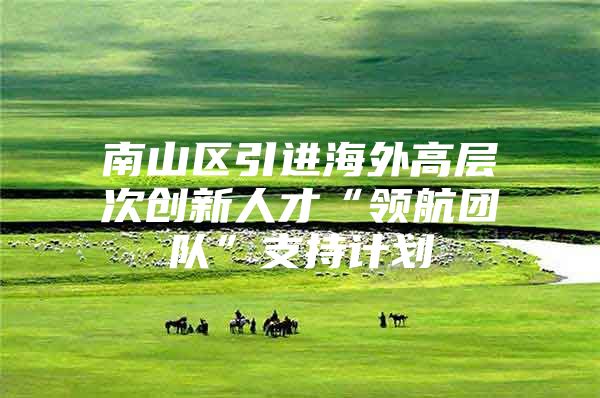 南山区引进海外高层次创新人才“领航团队”支持计划