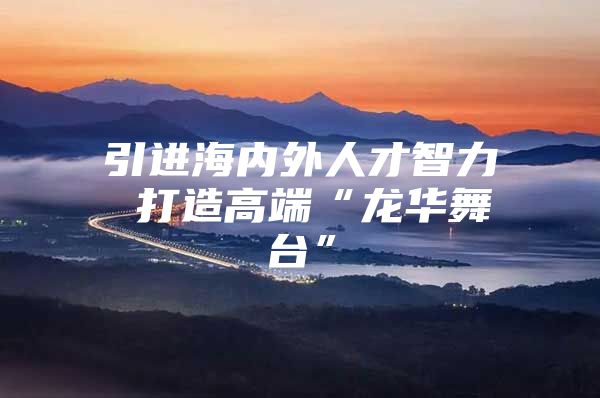 引进海内外人才智力 打造高端“龙华舞台”