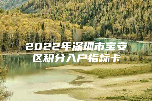 2022年深圳市宝安区积分入户指标卡