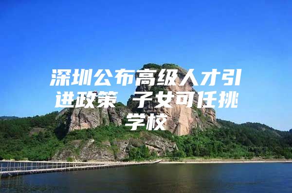 深圳公布高级人才引进政策 子女可任挑学校