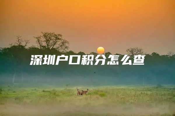 深圳户口积分怎么查