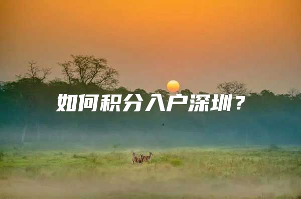 如何积分入户深圳？