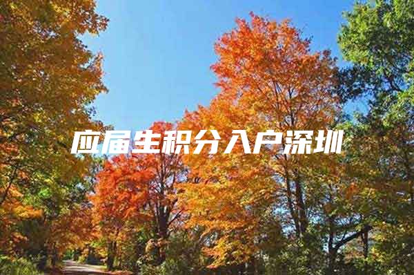 应届生积分入户深圳