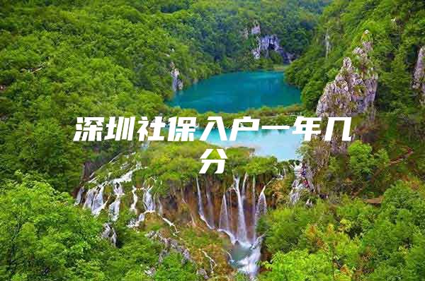 深圳社保入户一年几分