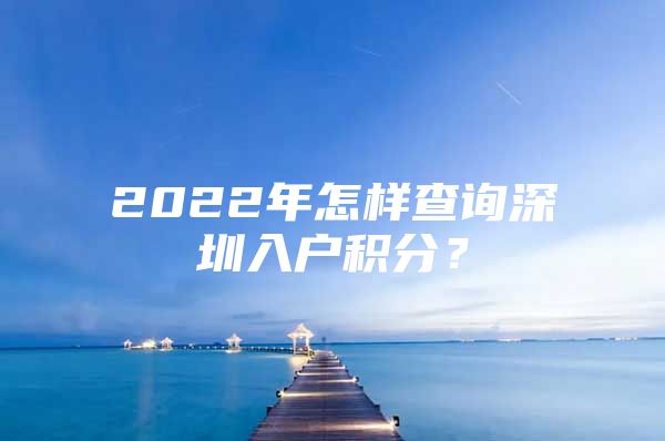 2022年怎样查询深圳入户积分？