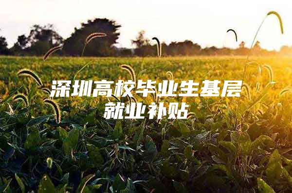 深圳高校毕业生基层就业补贴