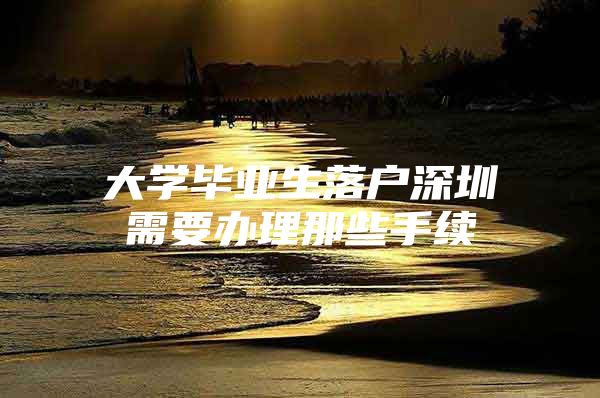 大学毕业生落户深圳需要办理那些手续