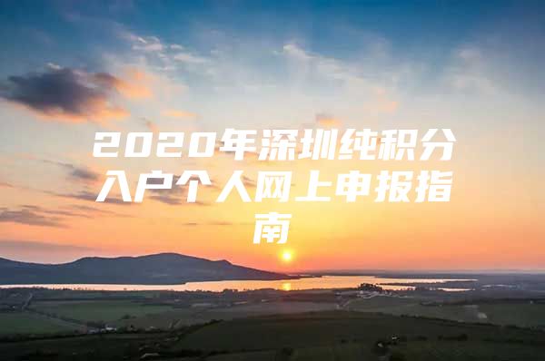 2020年深圳纯积分入户个人网上申报指南