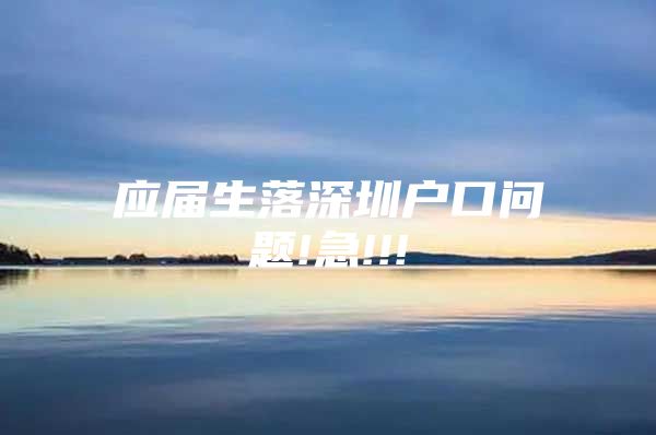 应届生落深圳户口问题!急!!!