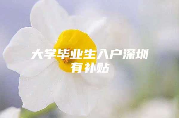 大学毕业生入户深圳有补贴