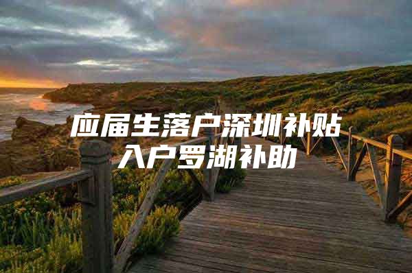 应届生落户深圳补贴入户罗湖补助