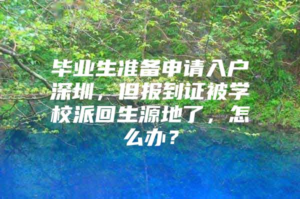 毕业生准备申请入户深圳，但报到证被学校派回生源地了，怎么办？