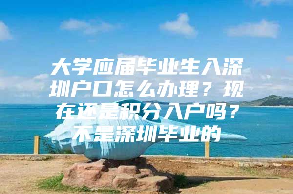 大学应届毕业生入深圳户口怎么办理？现在还是积分入户吗？不是深圳毕业的