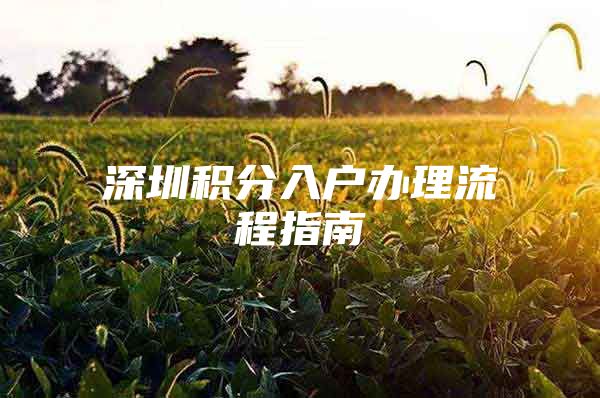 深圳积分入户办理流程指南