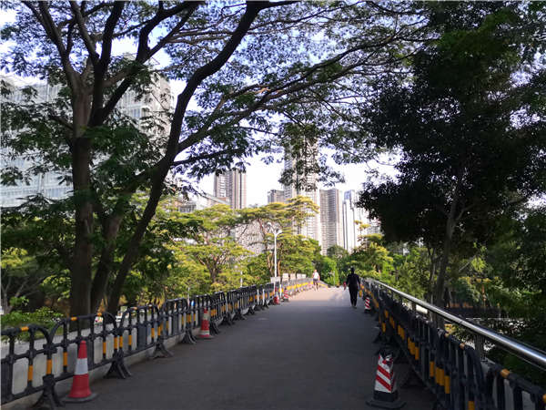 2021年深圳市应届毕业生入户条件对你来说值那么多钱吗？