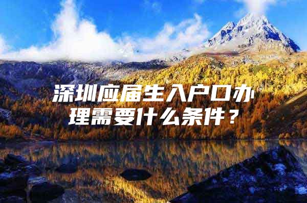 深圳应届生入户口办理需要什么条件？