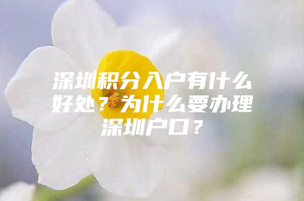 深圳积分入户有什么好处？为什么要办理深圳户口？