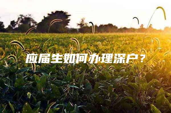 应届生如何办理深户？