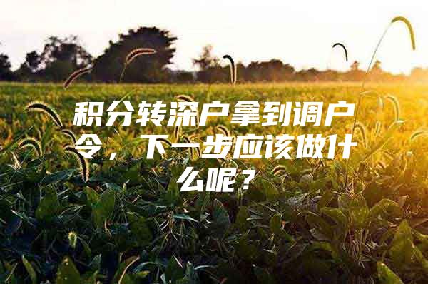 积分转深户拿到调户令，下一步应该做什么呢？