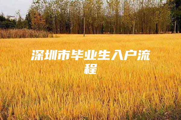 深圳市毕业生入户流程