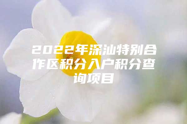 2022年深汕特别合作区积分入户积分查询项目