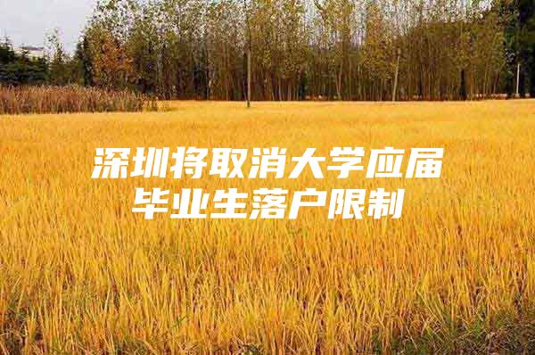 深圳将取消大学应届毕业生落户限制