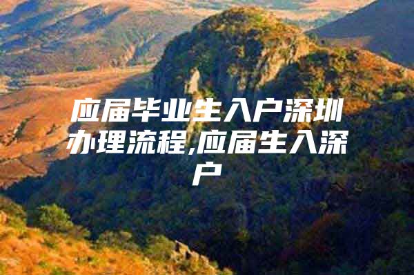 应届毕业生入户深圳办理流程,应届生入深户