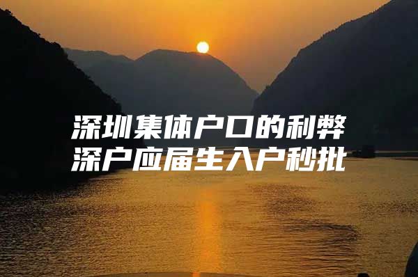 深圳集体户口的利弊深户应届生入户秒批